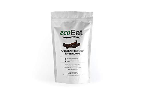 ecoEat Chocolate Covered Superworms