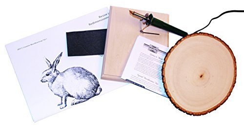 Walnut Hollow Creative Woodburning Pyrography Kit for the Beginner in Arts Crafts  Hobby