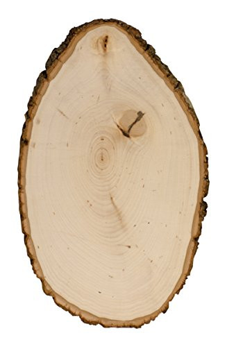 Walnut Hollow Bulk Value Pack Basswood Country Round Large for Home Decor and Rustic Weddings