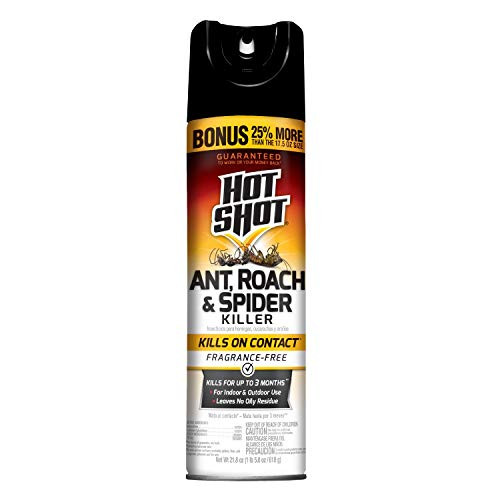 Hot Shot 36780 Roach  Spider Ant Roach Spider Killer 218 oz Unscented