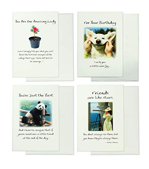 Blue Mountain Arts Greeting Card Bundle  4 Items Pix  Pagels Birthday Friend Amazing Woman and Thank You Photo Cards by Douglas Pagels