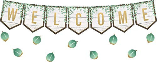 Teacher Created Resources Eucalyptus Pennants Welcome Bulletin Board TCR8472