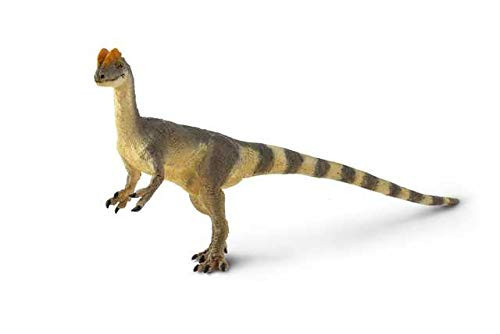 Safari Ltd Wild Safari Prehistoric World Collection  Hand Painted Realistic Dilophosaurus Figurine 6 x 3  Nontoxic and BPA Free  Ages 3