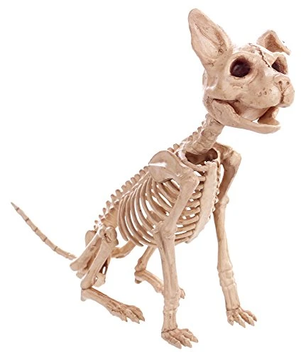 Crazy Bonez Sitting Skeleton Kitty
