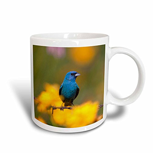 3dRose Churchill Wildlife Management Area  Polar Bears And Two Cubs Magic Transforming Mug 11 oz