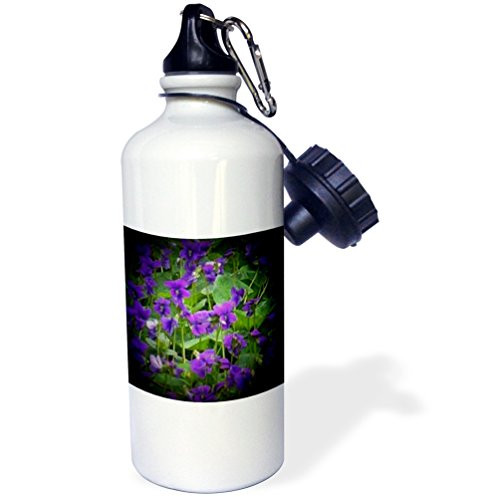 3dRose Wood Violets in Spotlight Sports Water Bottle 21 oz White
