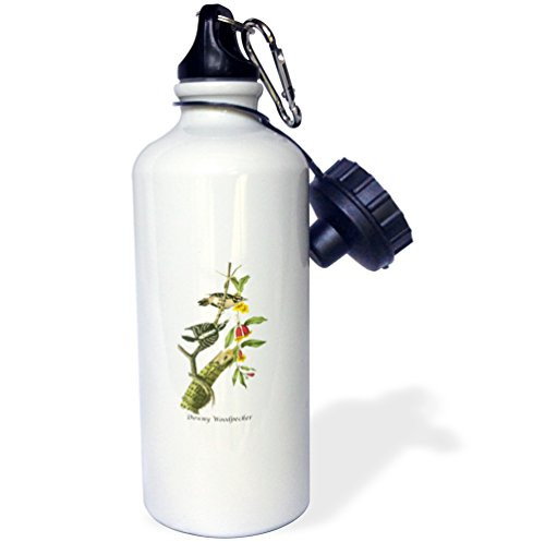 3dRose Downy Woodpecker by John James Audubon Sports Water Bottle 21 oz White