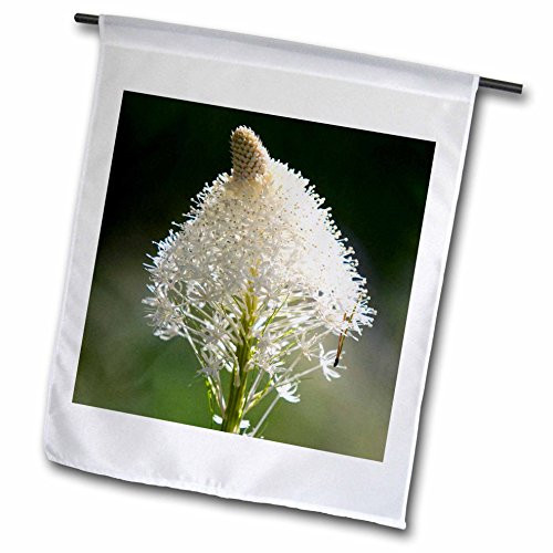 3dRose White Flower of Bear Grass Near Salmon Idaho  David R Frazier  Garden Flag 12 by 18