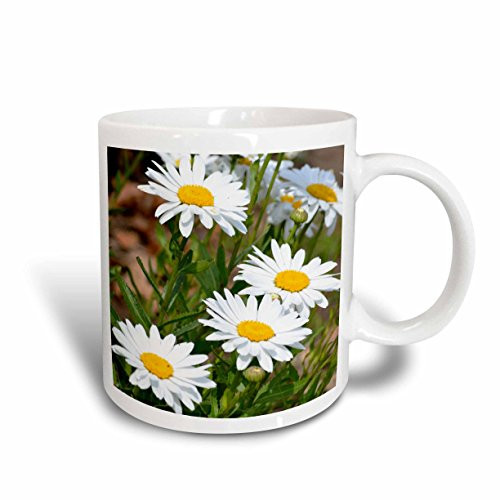 3dRose mug562945Pretty White Daisies  Flowers  Floral Print Two Tone Red Mug 11 oz Multicolor