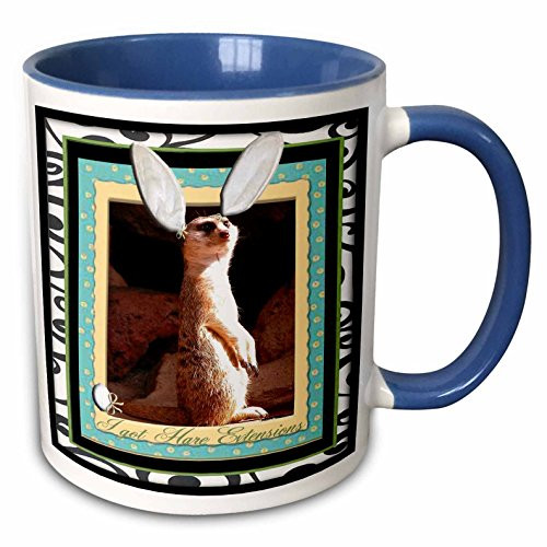 3dRose I Got Hare Extensions Meerkat Mug 11 oz Multicolor 3dRose I Got Hare Extensions Meerkat Mug 11 oz Multicolor