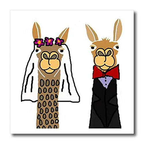 3dRose Funny Cute Llama Bride and Groom Wedding Art Iron On Heat Transfer 10