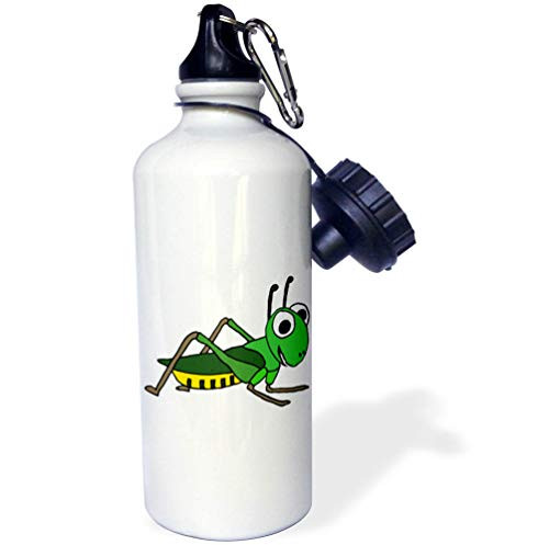 3dRose Funny Cute Cricket Cartoon Water Bottle 21 ounces