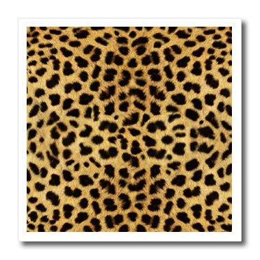 3dRose Janna Salak Designs Cheetah Animal Print Iron on Heat Transfer for White Material 10 by 10Inch