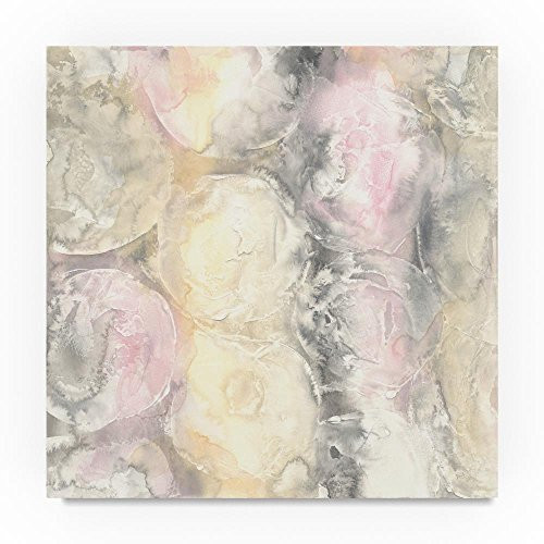 Trademark Fine Art Chris Paschke Blush Circles I 14x14Inch Trademark Fine Art Chris Paschke Blush Circles I 14x14Inch