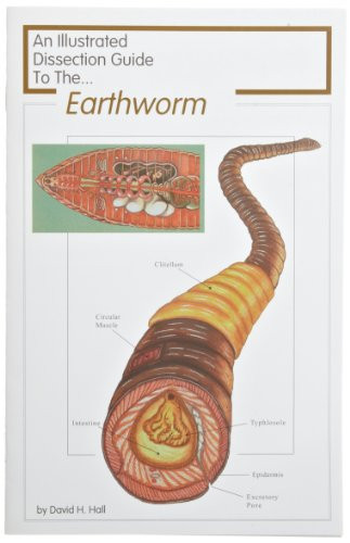 Frey Scientific 597003 Mini-Guide to Earthworm Dissection