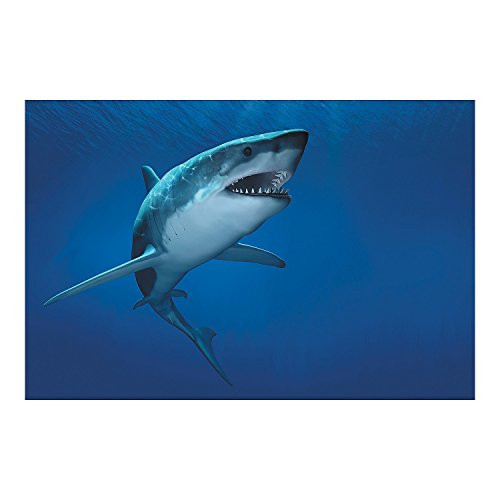 Fun Express - Shark Backdrop Banner - Party Decor - Wall Decor - Preprinted Backdrops - 3 Pieces