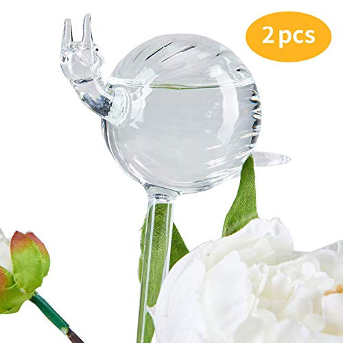 KiKiHeim Plant Watering Globes Hand Blown Clear Glass Self Watering Globes Automatic Plant Waterer Bulbs for Indoor Outdoor 2 Snails KiKiHeim Plant Watering Globes Hand Blown Clear Glass Self Watering Globes Automatic Plant Waterer Bulbs for Indoor Outdoor 2 Snails