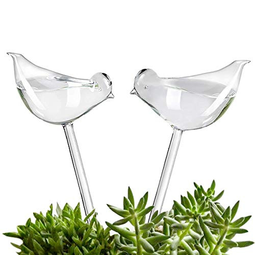 KiKiHeim Plant Waterer Self Watering Bulbs Hand Blown Clear Glass Plant Watering Globes for Indoor 2 Birds KiKiHeim Plant Waterer Self Watering Bulbs Hand Blown Clear Glass Plant Watering Globes for Indoor 2 Birds