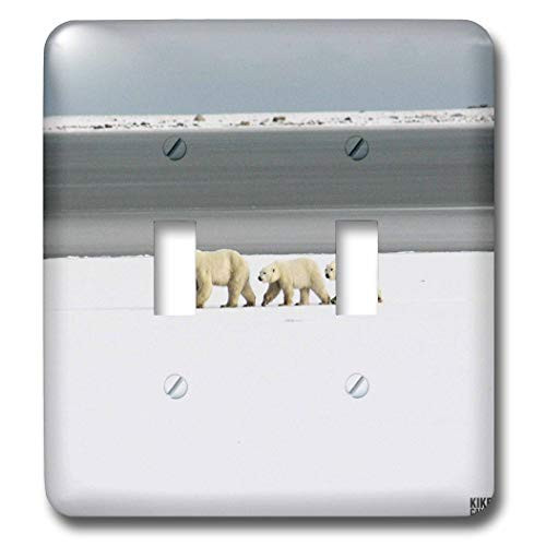 3dRose lsp107202 Polar Bears Double Toggle Switch