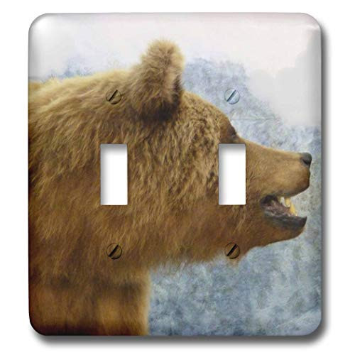 3dRose lsp245362 Brown Bear Up Close Double Toggle Switch
