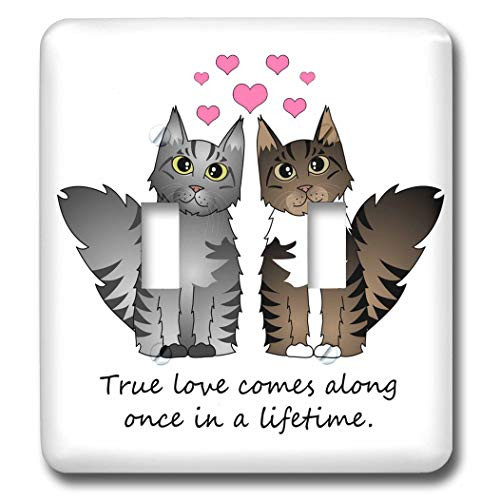 3dRose lsp355282 Cute Maine Coon CatsTrue Love Comes Along Once in a Lifetime Brown Tabby Double Toggle Switch SilverWhite
