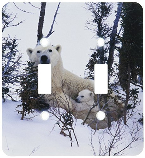 3dRose lsp701532 Manitoba Churchill Polar Bear cubs Double Toggle Switch 3dRose lsp701532 Manitoba Churchill Polar Bear cubs Double Toggle Switch