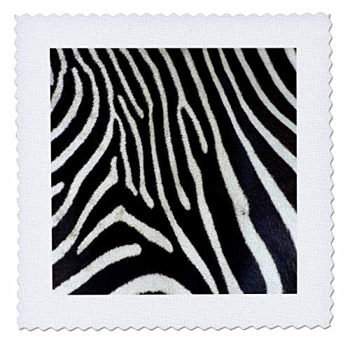 3dRose qs203441 Black and White Zebra Animal Print Quilt Square 10 by 10Inch