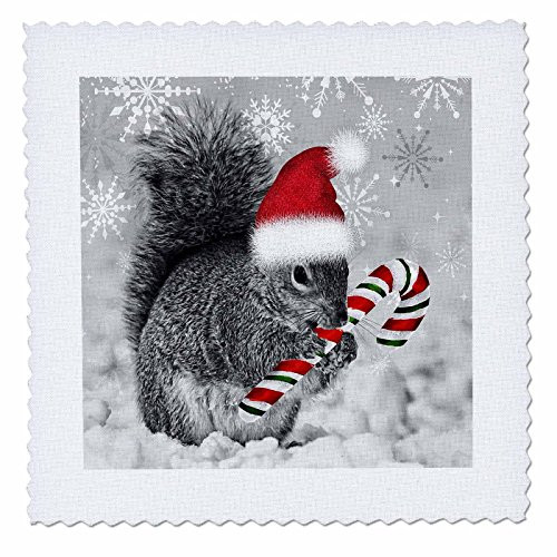 3dRose qs1501773 Cute Christmas Squirrel Has a Candy Cane and a Santa Hat in The SnowQuilt Square 8 by 8Inch