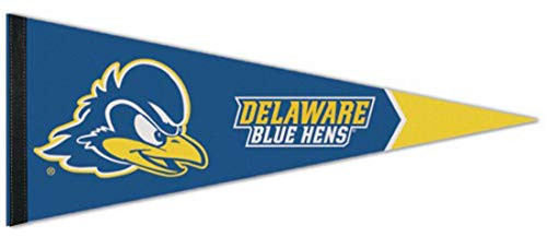 WinCraft University of Delaware Blue Hens Premium Pennant 12by30 Inch