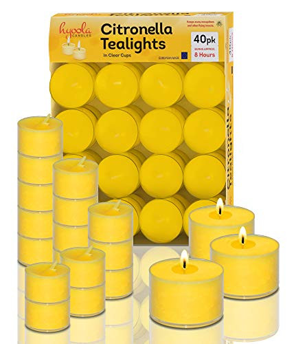 Hyoola Tealight Citronella Candles Outdoor  8 Hour Burn Time  Indoor and Outdoor Mosquito Insect and Bug Repellent Citronella Candle  Natural Fresh Scent  Decorative in Clear Cup  40 Pack