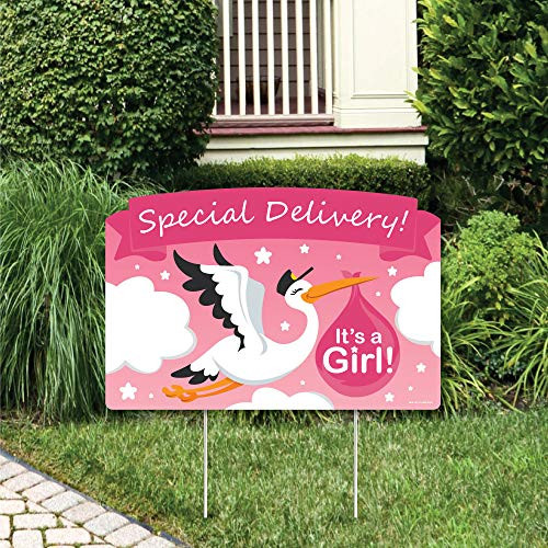 Big Dot of Happiness Girl Special Delivery  Its A Girl Stork Baby Shower Yard Sign Lawn Decorations  Party Yardy Sign