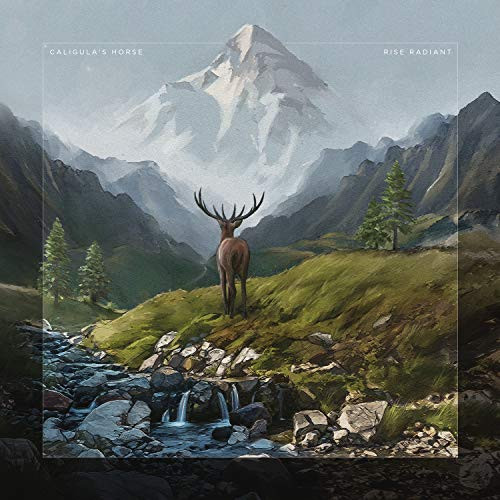 Rise Radiant Ltd CD Digipak