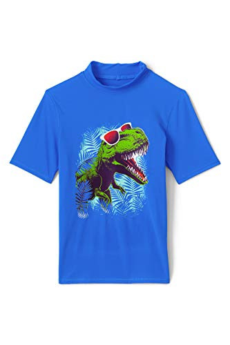 Lands End Boys Graphic Rashguard Dino Big Kid Small