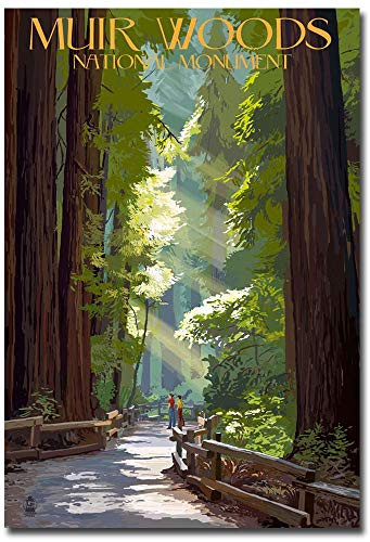 Muir Woods National Monument California Pathway Travel Vintage Art Refrigerator Magnet Size 25 x 35