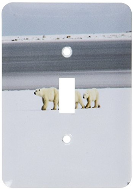 3dRose Lsp107201 Polar Bears Single Toggle Switch