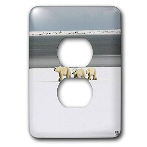 3dRose lsp107206 Polar Bears 2 Plug Outlet Cover