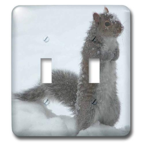3dRose lsp123292 Cute Squirrel in The Snow Double Toggle Switch