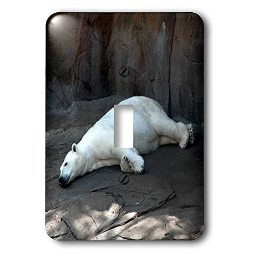 3dRose lsp175351 Sleeping Polar Bear Toggle Switch 3dRose lsp175351 Sleeping Polar Bear Toggle Switch