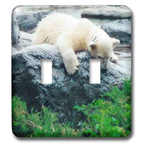 3dRose lsp179592 Curious Polar Bear Cub Toggle Switch