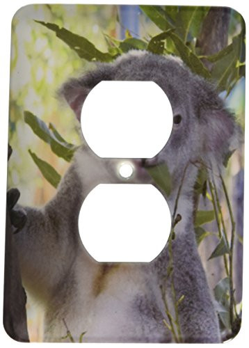 3dRose lsp228006 Cute Koala Eating Eucalyptus Queensland Australia 2Plug Outlet Cover