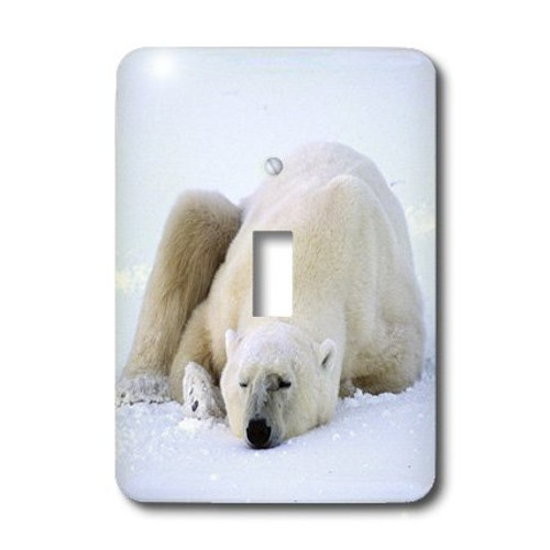 3dRose lsp456871 Polar Bear Sleeping Toggle Switch 3dRose lsp456871 Polar Bear Sleeping Toggle Switch