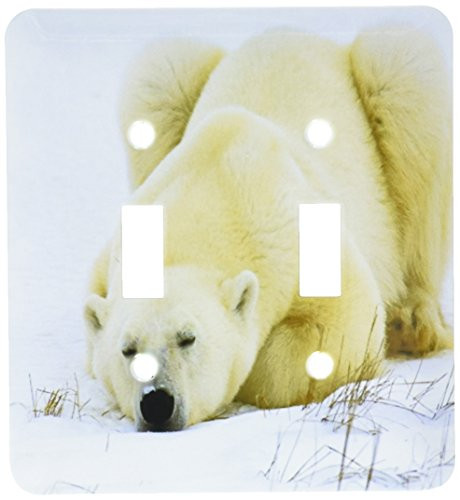 3dRose lsp532872Polar Bear Nap Toggle Switch
