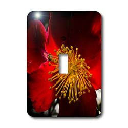 3dRose lsp538261Red Flower with Yellow Fingers Wall DecorSingle Toggle Switch