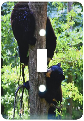 3dRose lsp570631Two bears in tree playing Single Toggle Switch