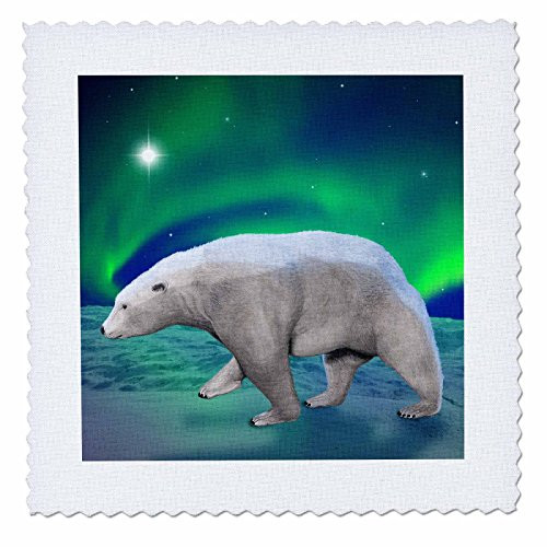 3dRose LLC qs209031 Polar Bear Aurora Quilt Square 10 by 10Inch