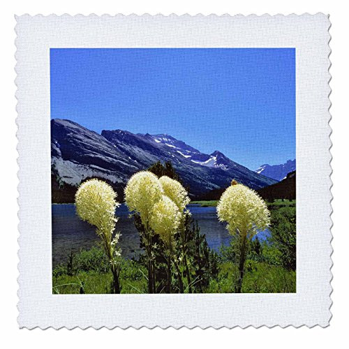 3dRose qs921301 Montana Glacier NP Bear Grass Swiftcurrent Lake  US27 RER0032  RIC Ergenbright  Quilt Square 10 by 10Inch