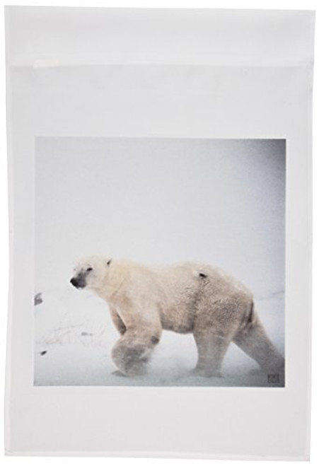 3dRose fl107241 Polar Bear Garden Flag 12 by 18Inch 3dRose fl107241 Polar Bear Garden Flag 12 by 18Inch