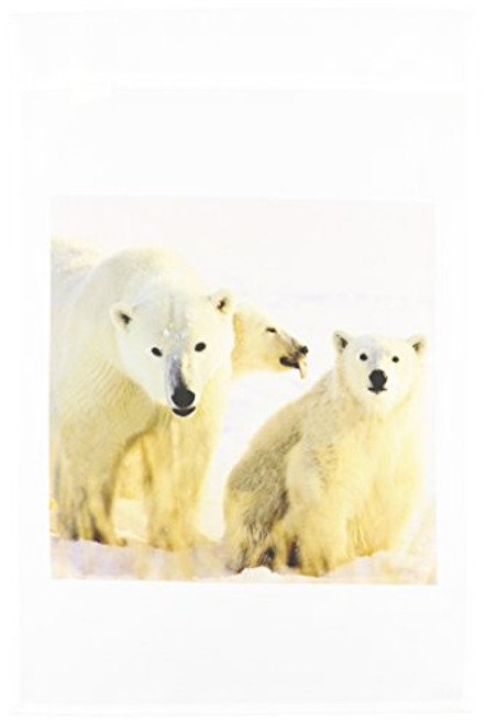 3dRose fl702461 Canada Manitoba Hudson Bay Churchill Polar BearsCN03 BJA0033Janyes Gallery Garden Flag 12 by 18Inch 3dRose fl702461 Canada Manitoba Hudson Bay Churchill Polar BearsCN03 BJA0033Janyes Gallery Garden Flag 12 by 18Inch