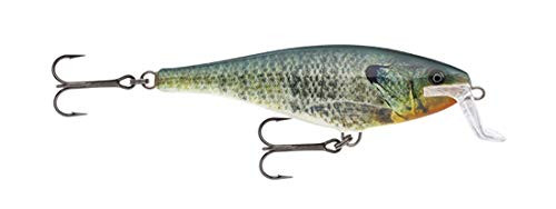 Rapala Super Shad Rap 14 Live SSR14BGL: Super Shad Rap 14 Live Bluegill