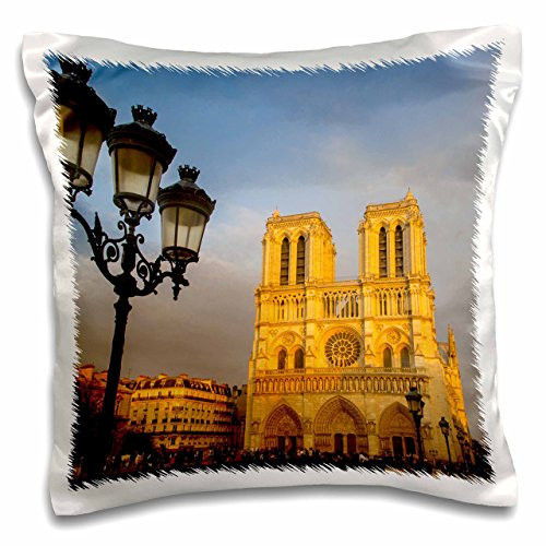 3D Rose Setting Sunlight on Facade of Cathedral Notre Dame Paris France Pillow Case, 16" x 16"